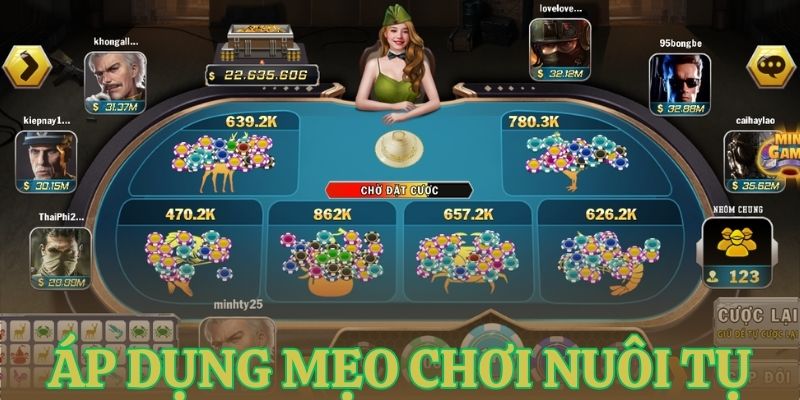 dung meo choi bau cua theo cach nuoi tu Dùng mẹo chơi bầu cua theo cách nuôi tụ