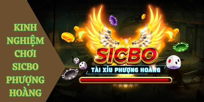 kinh nghiem choi sicbo phuong hoang