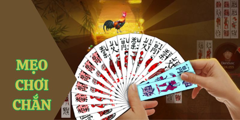 meo choi chan
