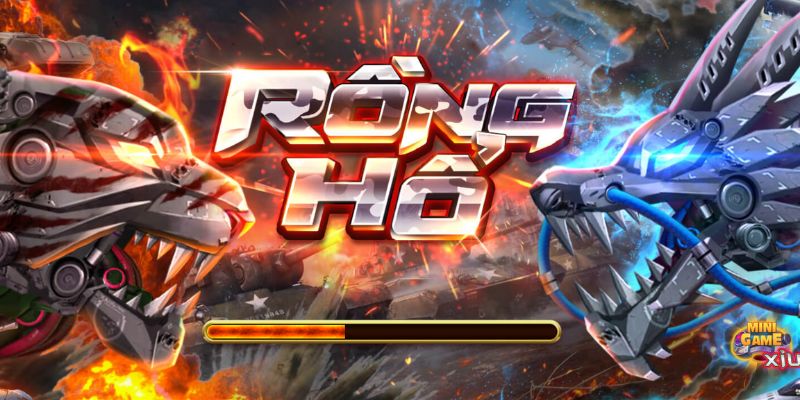 tong quan doi net ve rong ho Tổng quan đôi nét về Rồng Hổ